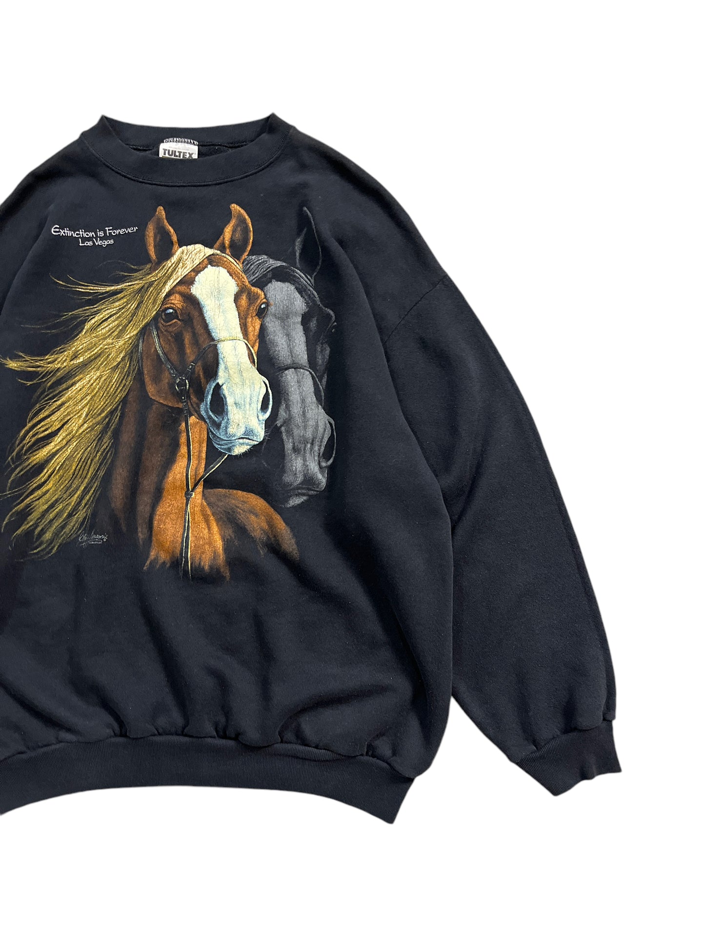 Vintage Animal Horse "Extinction Is Forever" Sweater