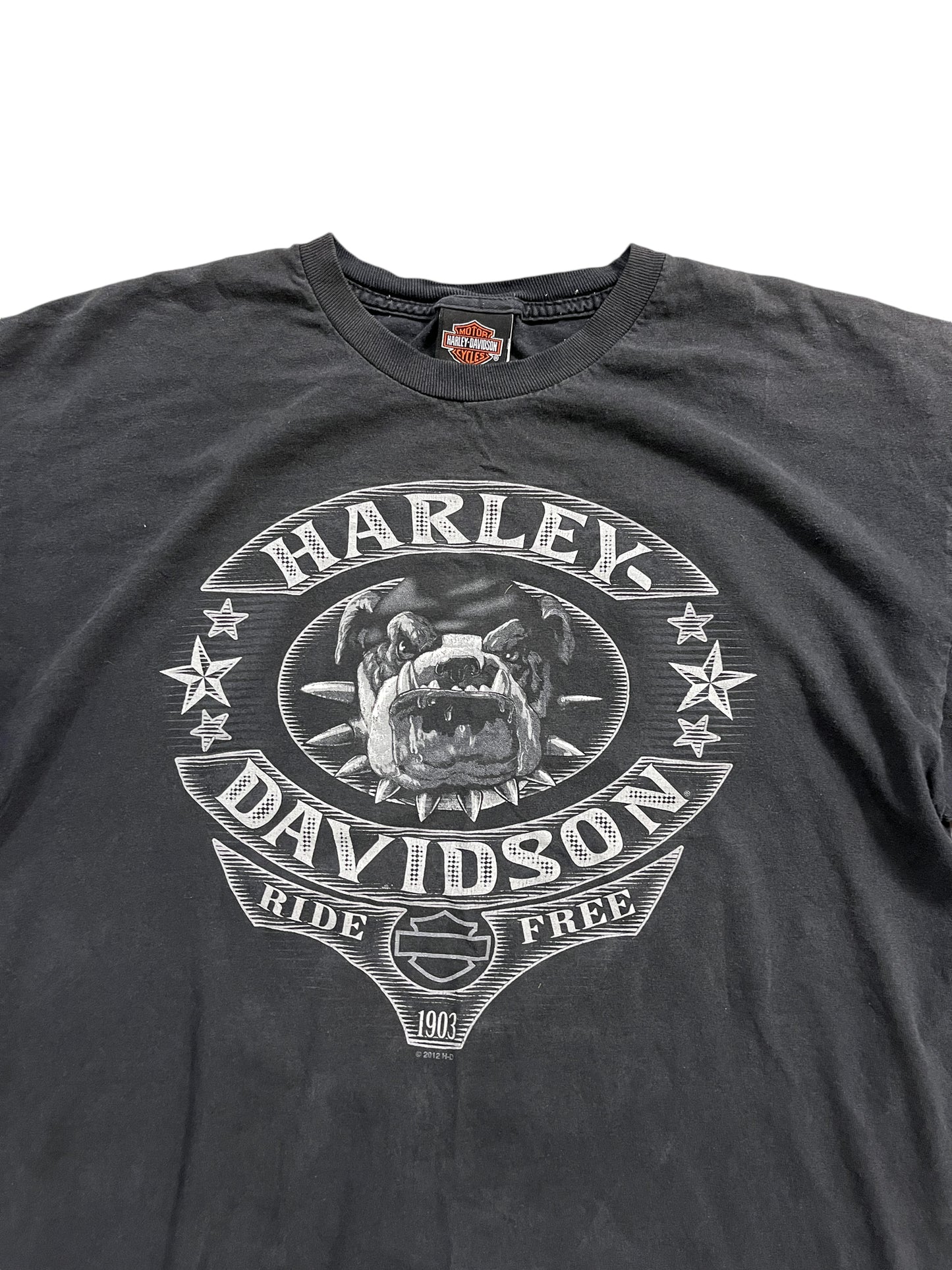 Vintage Harley Davidson "Mexico" Tee