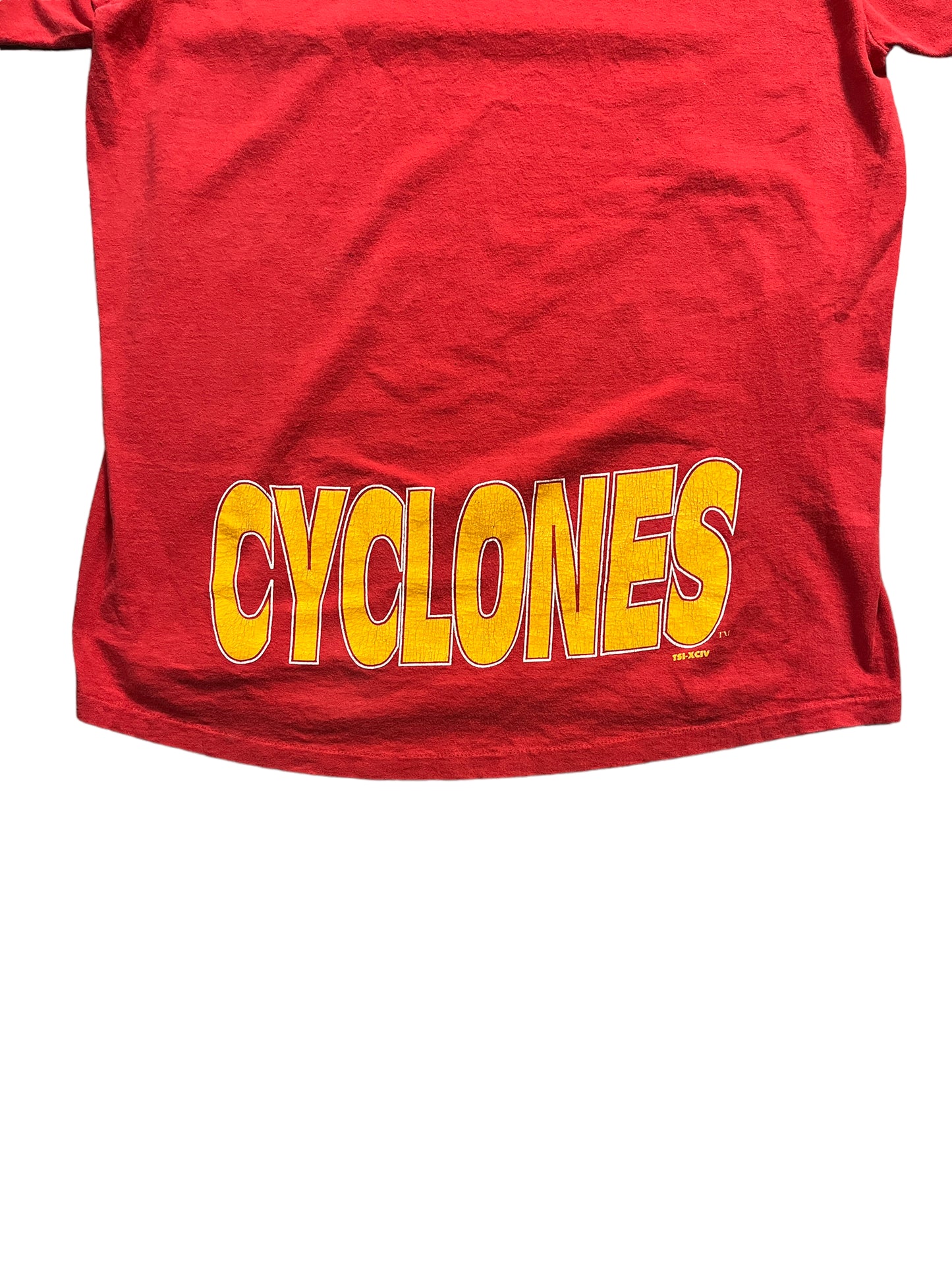 Vintage IOWA State Tee