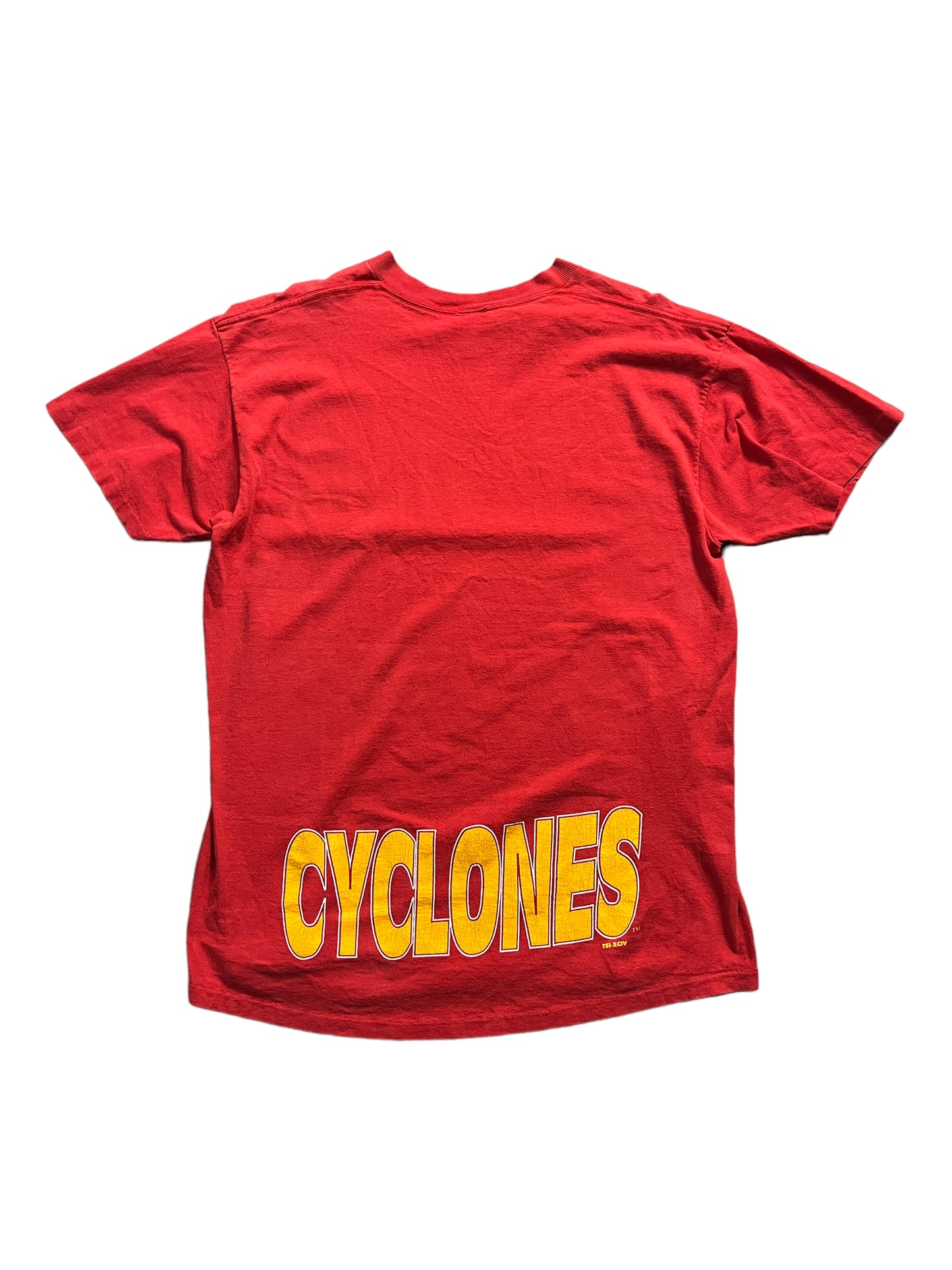 Vintage IOWA State Tee