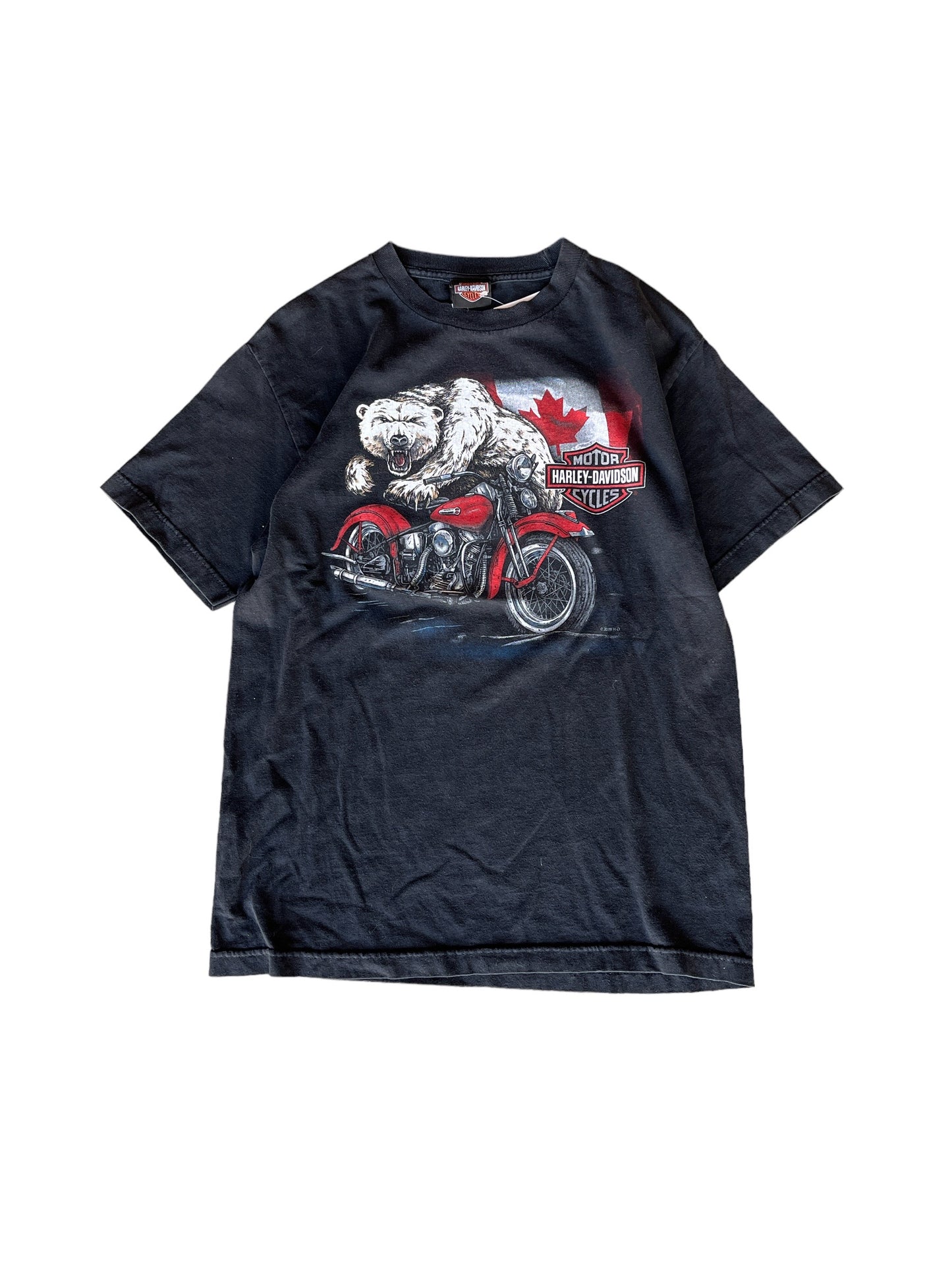 Vintage Y2k Harley Davidson Edmonton Tee